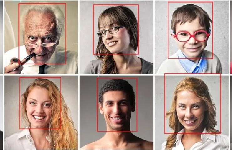 Train your own object detector with Faster-RCNN & PyTorch